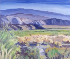Blue Mountains Borrego